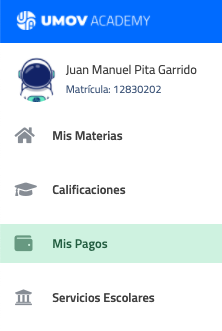 AccesoMenuPagos.png